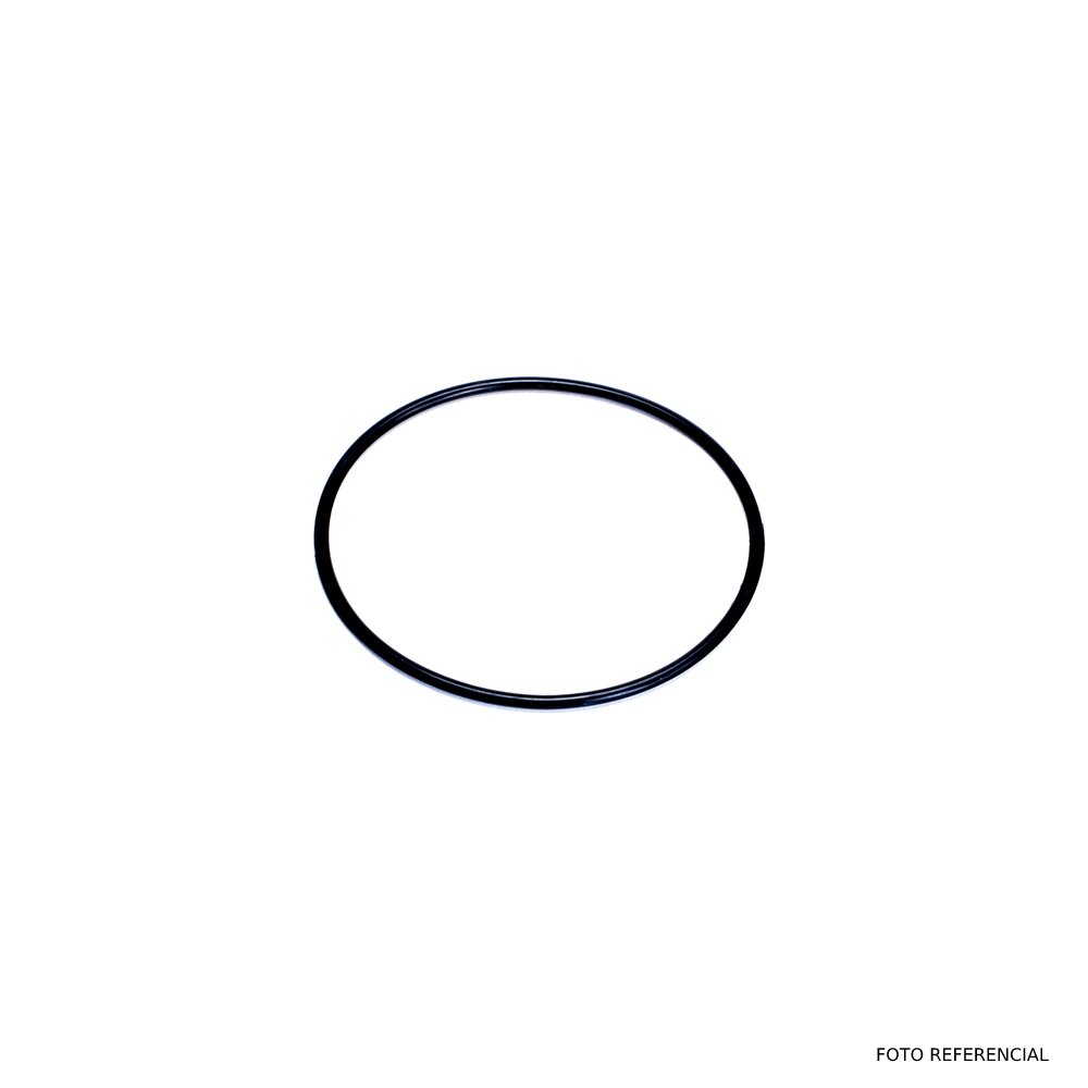 ORING TERMOSTATO