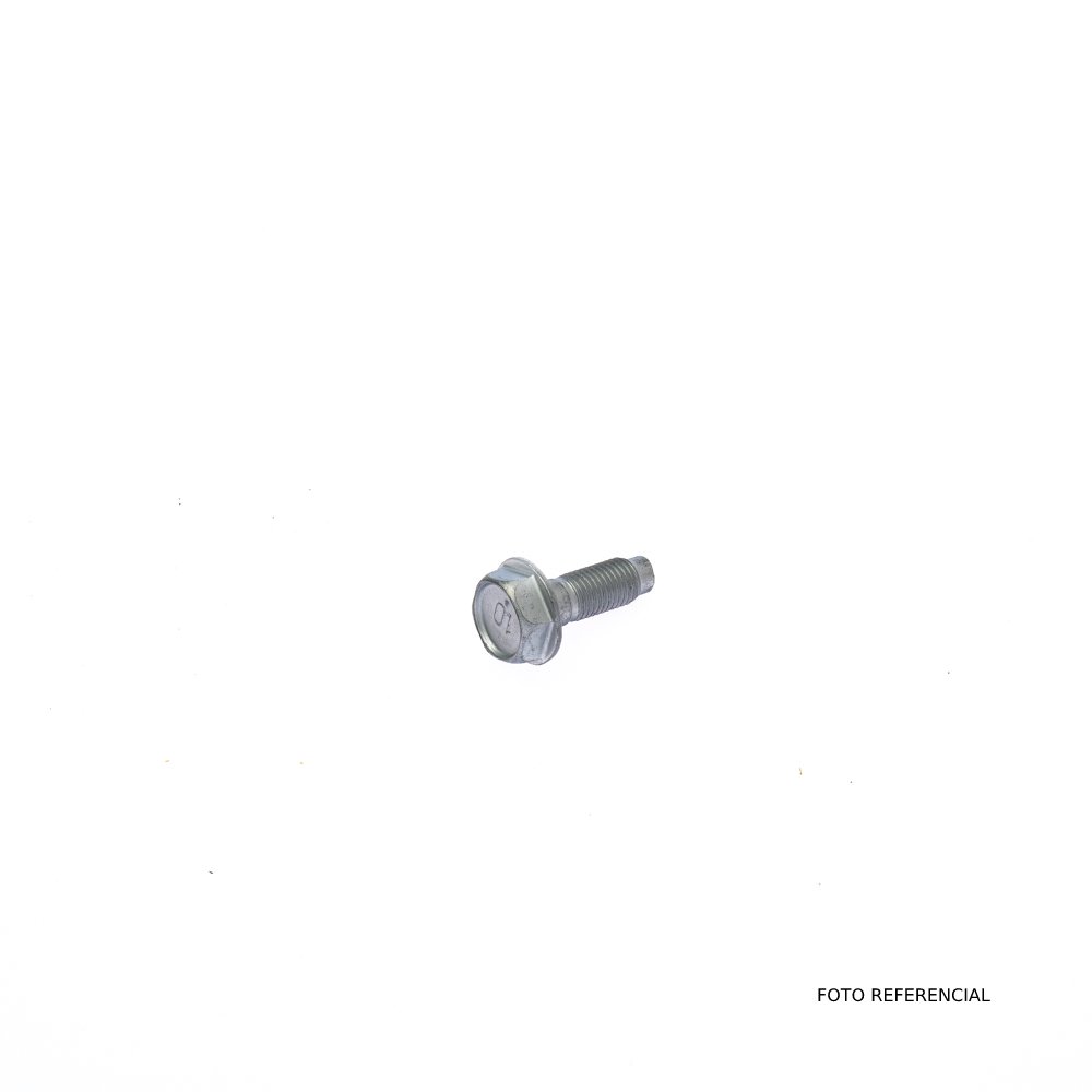 PERNO CALIPER