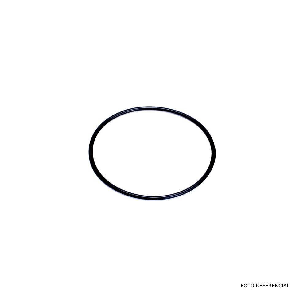 ORING TERMOSTATO